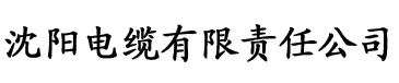 天天综合网仓库中文电缆厂logo